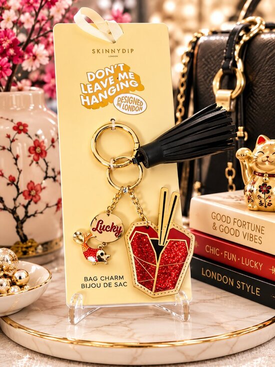 Skinnydip London Accessories - Skinnydip London “Lucky” Chinese Takeout Bag Charm / Keychain